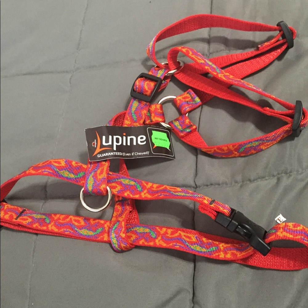 harness - Picture 6 of 9